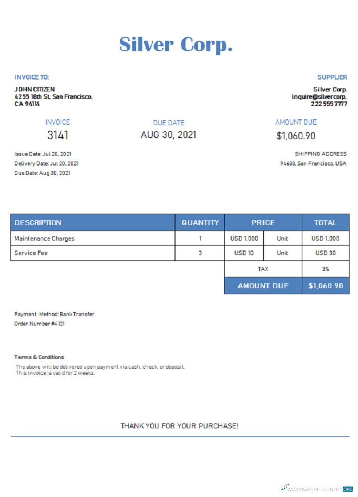 Download USA Silver Corp. invoice Photoshop template
